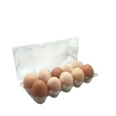 Yumurta Viyolü 10 Bölmeli 125 Adet